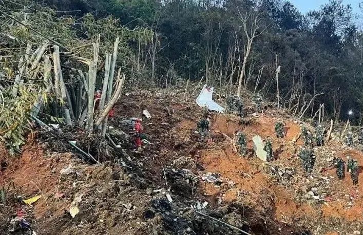 东航客机坠毁事件深度解析，东航客机坠毁事件深度剖析