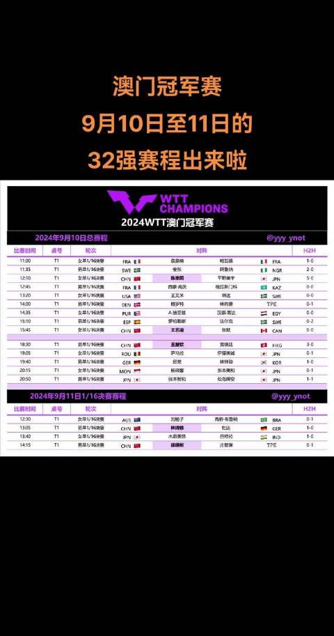 新澳门今晚开特马探析，澳门今晚特马开彩深度解析