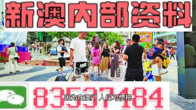 探索新澳门，正版免费大全的独特魅力与未来展望（2024版），探索新澳门，正版免费大全的独特魅力与未来展望（2024最新展望）