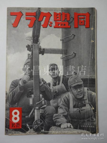 海南岛战役的重要意义，海南岛战役，揭示其深远意义与重要性