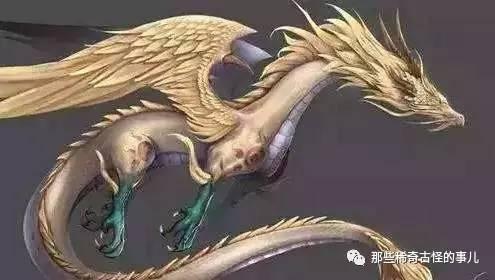昆仑山僵尸事件真相揭秘，是真是假？，昆仑山僵尸事件真相揭秘，真相究竟如何？