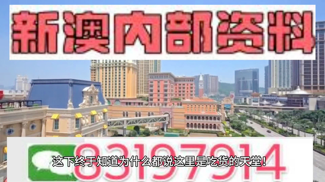 新澳门精准资料大全，探索与解读，新澳门精准资料大全，深度探索与解读
