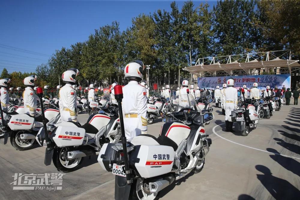 国宾护卫队口令，荣耀与责任的象征，国宾护卫队口令，荣耀与责任的独特标志