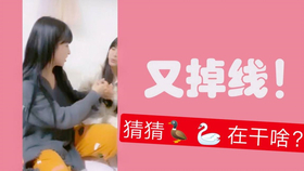 王中王欲钱诗猜一肖网，探寻神秘文化现象背后的故事，探寻王中王欲钱诗背后的神秘文化现象与故事