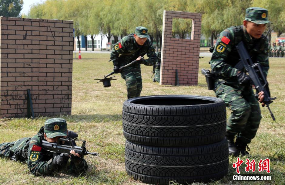 老兵新兵比枪法，传承与超越的较量，新兵老兵枪法对决，传承与超越的较量