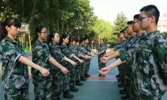 军政论坛哪个网站最好，深度探讨与比较分析，军政论坛深度探讨与比较分析，哪个网站最佳？