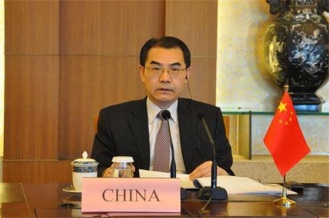 外交部部长助理的身份及其角色解析，外交部部长助理身份与角色深度解析
