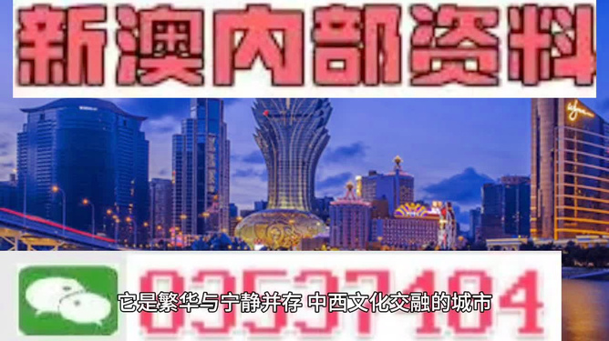 新澳门一肖一码资料，探索与解读，澳门一肖一码资料解读与探索