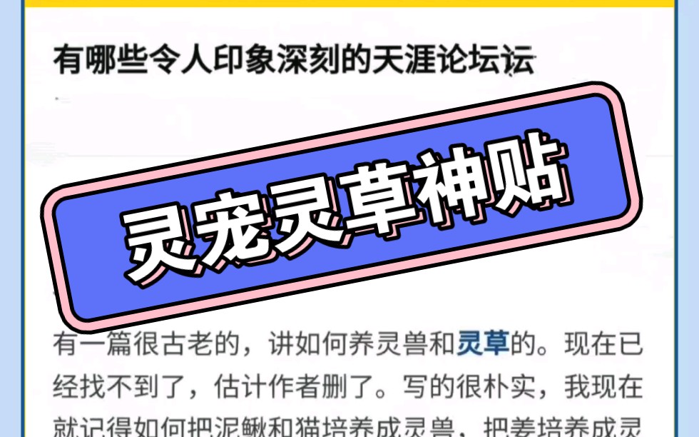 天涯论坛中的灵宠灵草，神秘世界的探索与分享，天涯论坛神秘灵宠灵草，探索与分享的世界
