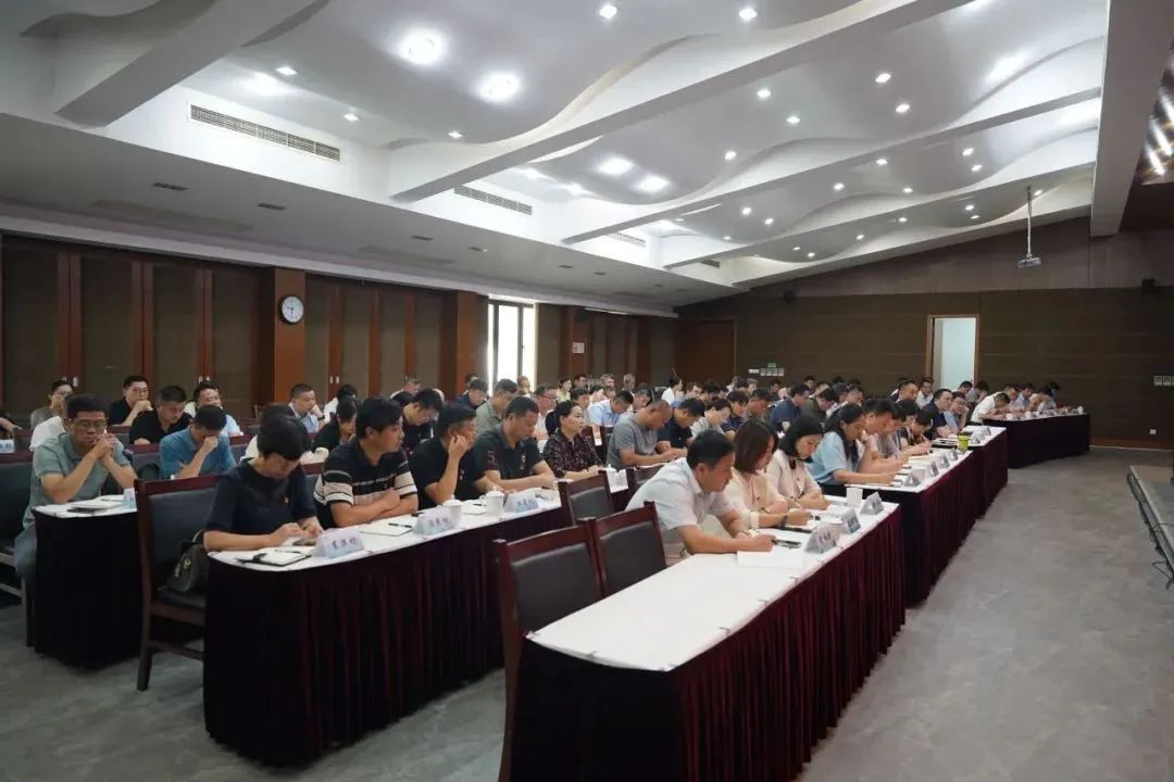 青浦区练塘镇今日特大新闻，青浦区练塘镇今日重大新闻揭秘