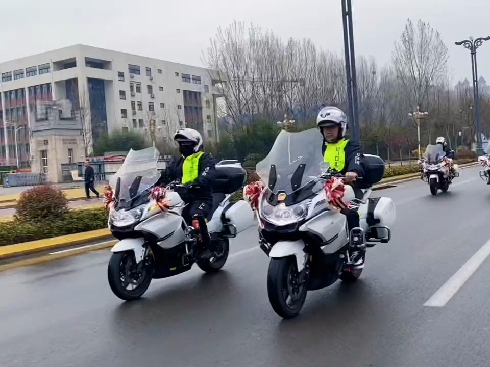 国宾护卫队婚车，荣耀与责任的见证，国宾护卫队婚车，荣耀与责任的联姻见证