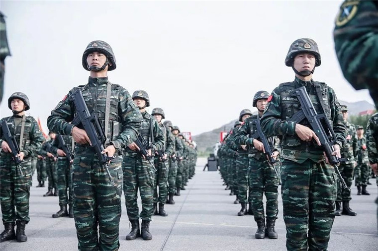 武警特战与机动部队，深入解析两大力量的独特之处，武警特战与机动部队，独特力量的深度解析