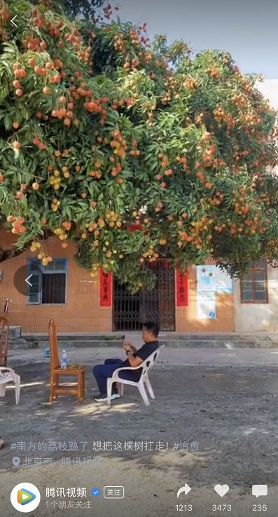中国人民志愿军军歌与红色摇滚，历史的旋律与时代的力量，中国人民志愿军军歌与红色摇滚，历史的旋律，时代的力量