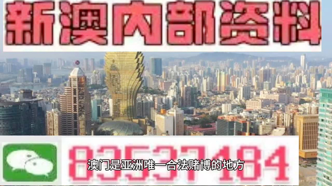 澳门三肖三码精准预测背后的秘密，小马哥的故事与探索，澳门三肖三码精准预测背后的秘密，小马哥揭秘与探索之旅