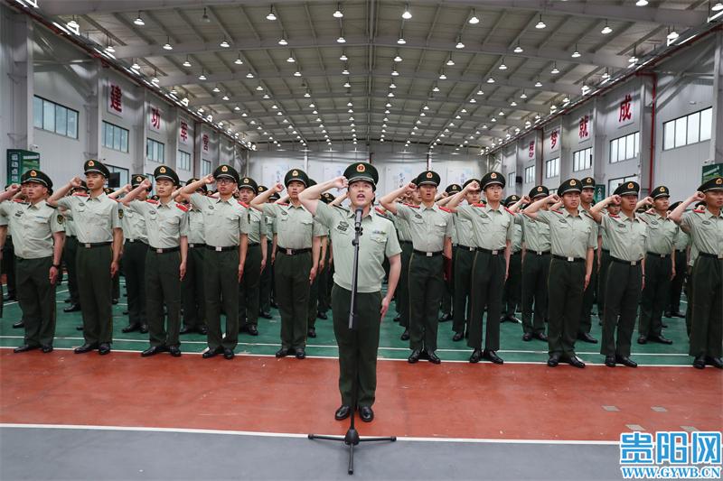 军衔胸标图解，揭示军队等级与荣誉的象征，军衔胸标详解，军队等级与荣誉的象征图解