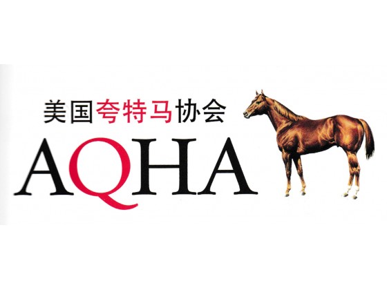 今晚9:30开特马的神秘面纱揭晓，特马神秘面纱今晚揭晓，9:30开启之夜