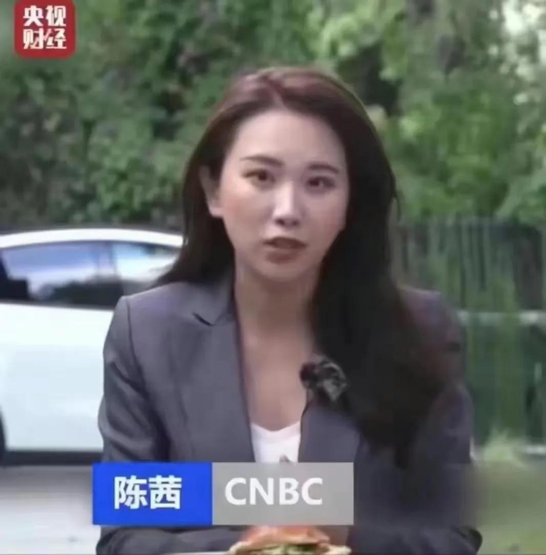 央视新闻女记者名单，她们的声音与力量，央视新闻女记者，声音与力量并存的她们