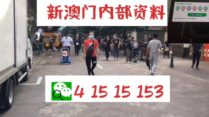 澳门管家婆——揭秘数字背后的故事，澳门管家婆，数字背后的神秘故事揭秘