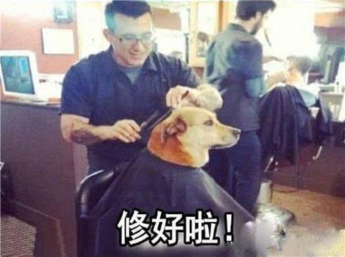今天可以理发吗？——探索最佳理发时机，探索最佳理发时机，今天是否适宜剪发？