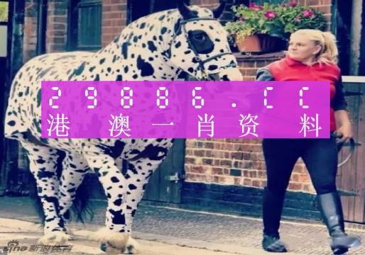 香港王中王一肖中特囹库，探索香港的独特魅力与未来展望，香港独特魅力与未来展望，王中王一肖中特囹库探索之旅