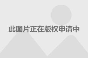 直18与鱼7，距离的探索与挑战，直-18与鱼-7，距离的探索与挑战揭秘