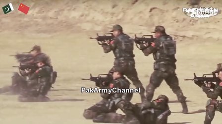 中巴雄鹰联合军演2011，深化合作，共筑和平的坚固防线，中巴雄鹰联合军演深化合作，共筑和平的坚固防线（2011年）