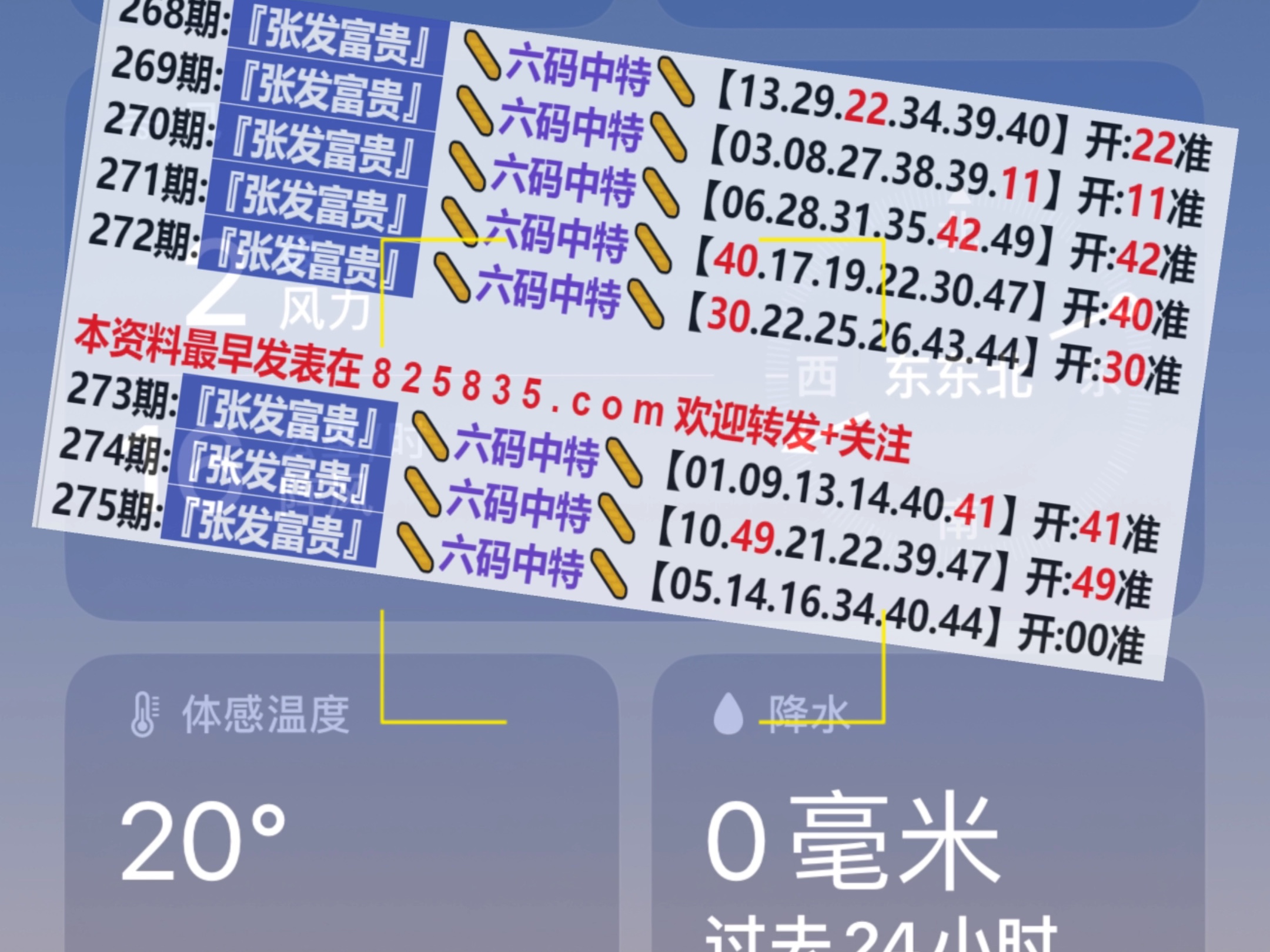 澳门彩票开奖结果查询表，探索新奥门的彩票魅力与未来展望（2024年开奖记录查询表），澳门彩票开奖结果查询表，探索新澳门彩票魅力与未来展望（附最新开奖记录）