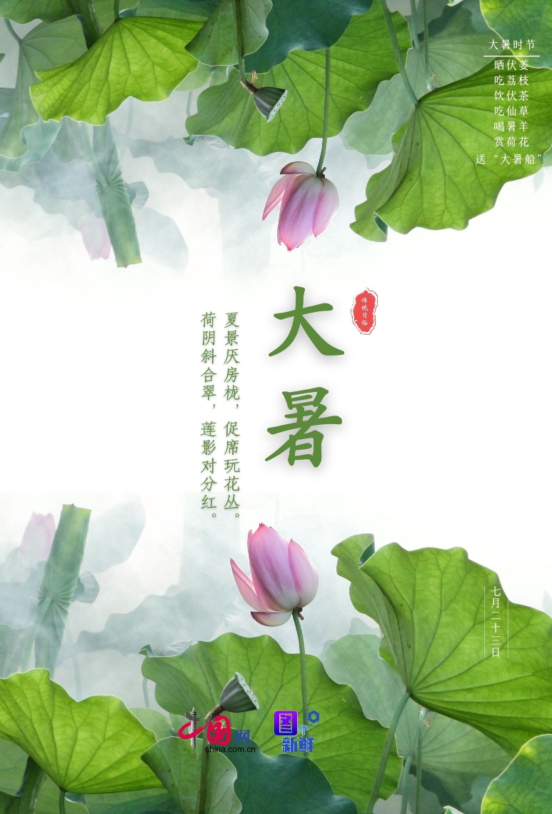 今天大暑，探寻盛夏的独特魅力，大暑探秘，盛夏的独特魅力