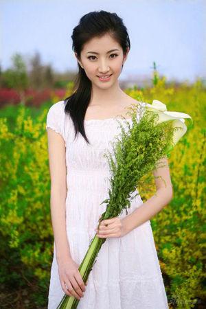新澳门彩五行走势分析，澳门新彩五行走势解析