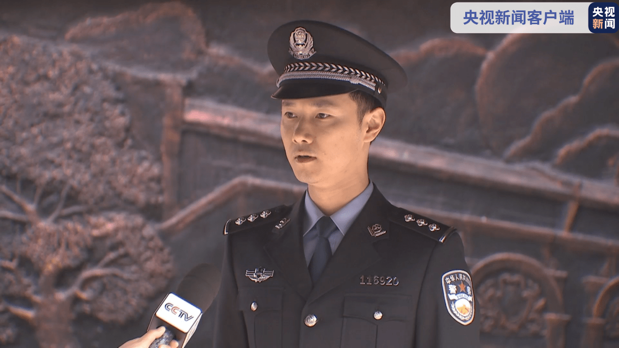 国家安全局与警察职业，职责、角色与差异分析，国家安全局与警察的职责角色及差异解析