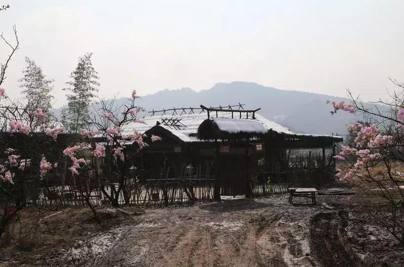 中国黑鹰直升机影视，探索航空艺术的无限魅力，中国黑鹰直升机影视，航空艺术的魅力探索