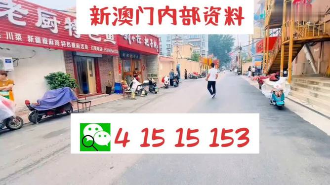 新澳天天开好彩资料大全——探索彩票世界的奥秘与魅力，新澳天天开好彩资料大全，揭秘彩票世界的魅力与奥秘