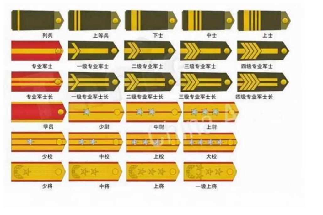 军改后的部队体制，新挑战与机遇，军改后部队体制面临的新挑战与机遇