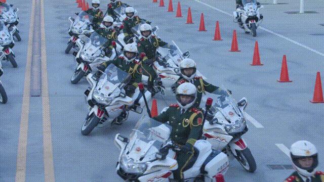 国宾护卫队与铁骑，荣耀与力量的象征，国宾护卫队与铁骑，荣耀与力量的独特象征