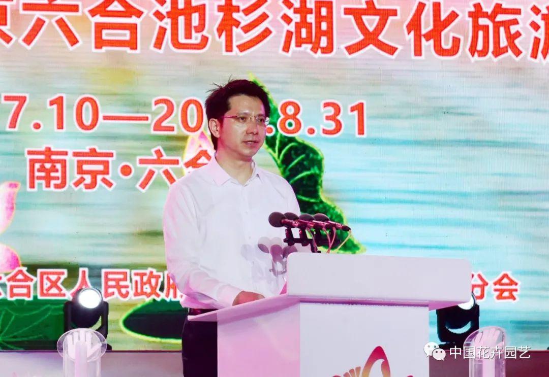 澳门六和开奖结果第54期深度解析，澳门第54期六和开奖结果深度解析报告