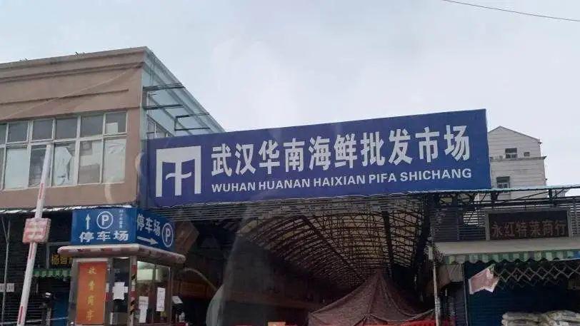 华南海鲜市场女老板，一位坚韧不拔的创业先锋，华南海鲜市场女老板，坚韧不拔的创业先锋之路
