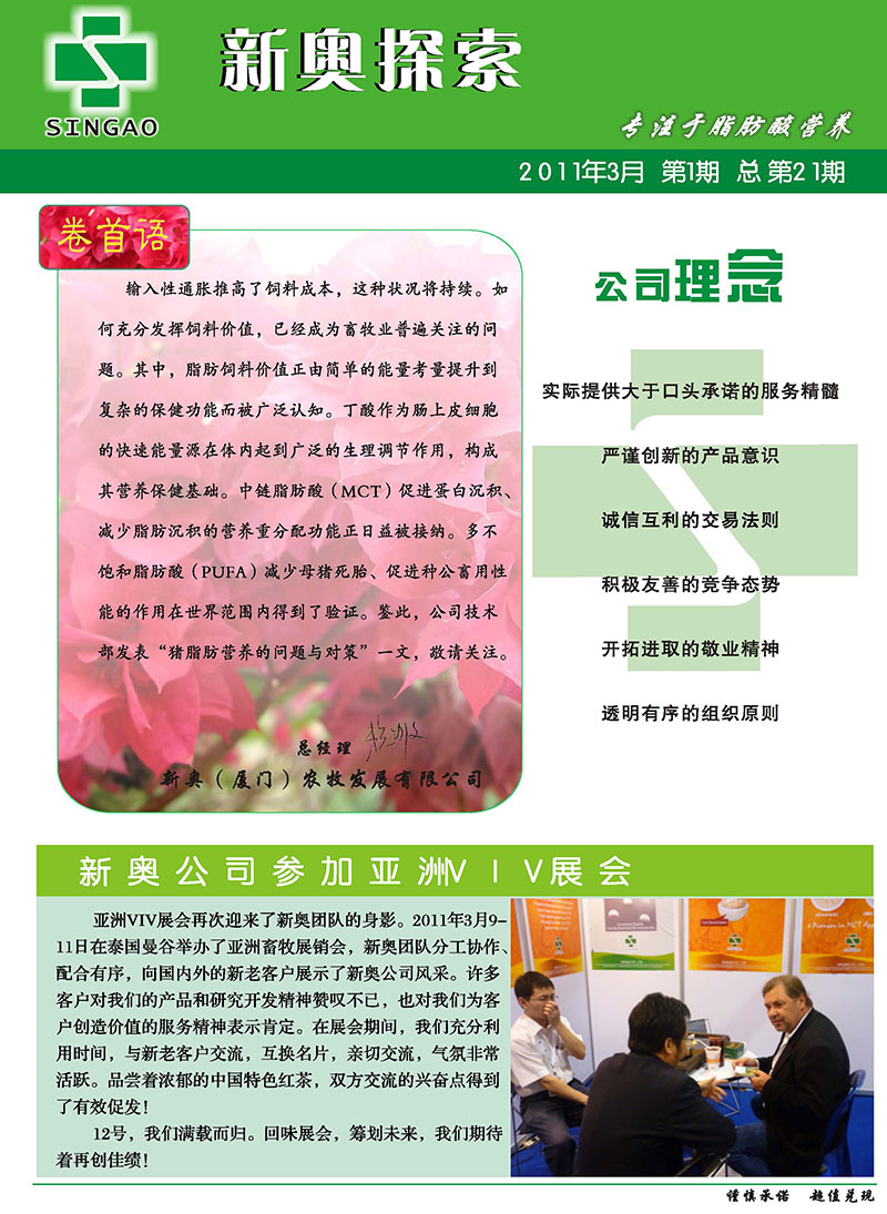 新澳2025年正版资料深度解析，新澳2025年正版资料深度剖析
