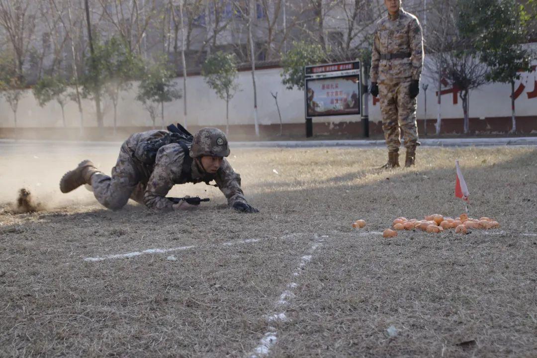 新兵三个月考核标准，塑造优秀军事人才的基石，新兵三个月考核标准，塑造军事优秀人才的坚实基础