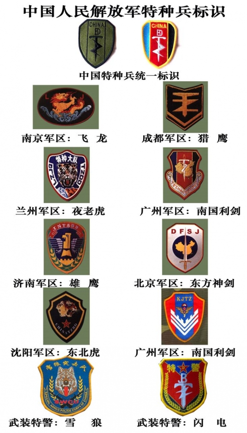 中国特种兵军衔，荣誉与职责的象征，中国特种兵军衔，象征荣誉与职责的职级标识