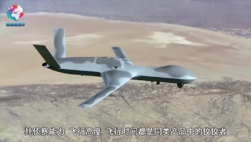 中国有类似全球鹰无人机吗，现状与发展趋势分析，中国全球鹰无人机现状与发展趋势分析，探索与前瞻