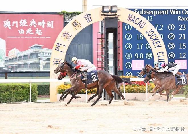 澳门赛马会，历史、文化与竞技的交融，澳门赛马会，历史、文化与竞技的璀璨交融