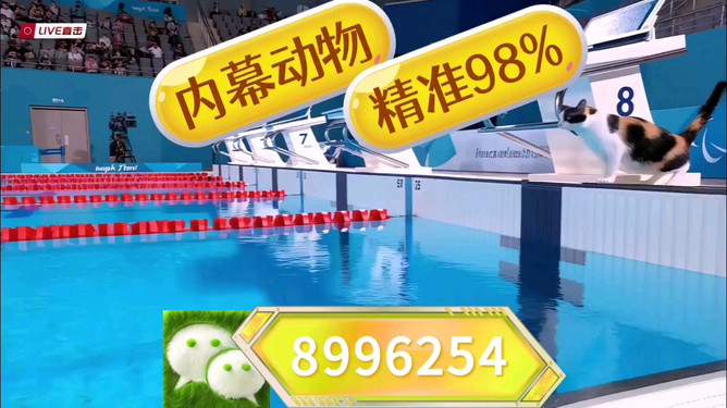 探索未来的幸运之门，2025今晚澳门开特马，探索未来幸运之门，2025澳门特马开启之夜