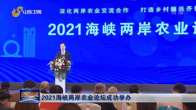 海峡两岸关系最新新闻深度解析，海峡两岸关系最新动态深度解析