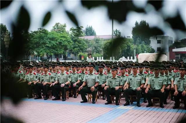 军事中央电视台，军事报道的权威声音与多维视角，军事中央电视台，权威声音与多维视角的军事报道