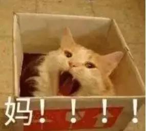妈的是一辆虎式表情包，妈的爱车，虎式表情包来袭