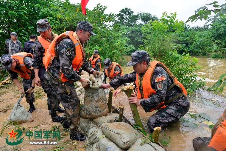 国民党第十二集团军，历史沿革与军事贡献，国民党第十二集团军，历史沿革与军事贡献回顾