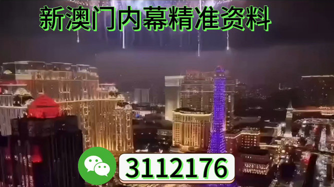 澳门今晚开，探寻未来的繁荣与魅力，澳门未来繁荣与魅力探寻之夜