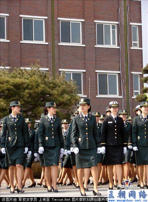 中国女兵裙装图片，展现新时代女性的风采与力量，中国女兵裙装风采，展现新时代女性的力量与魅力