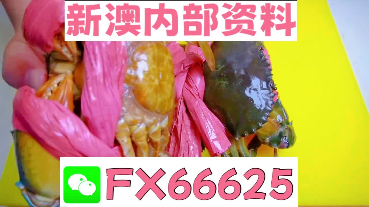 新澳资料免费资料大全，探索与利用，新澳资料免费探索与利用大全