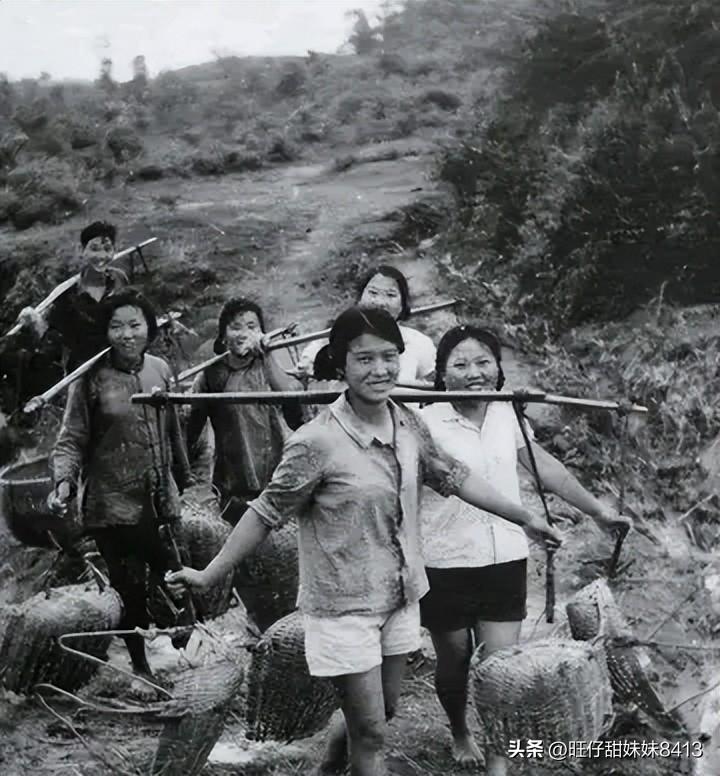 探索49图库